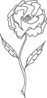 roos, hand- getrokken vector illustratie, bloemen lijn tekening, reeks van monochroom bloem, lijn kunst, zwart en wit, illustratie, vector