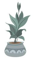 bloem in pot, banaan boom exotisch plantkunde decor vector