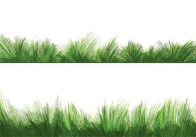 mooi groen gras geïsoleerd achtergrond vector