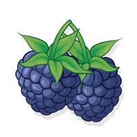 blackberry zoete fruit illustratie voor web geïsoleerd op een witte achtergrond vector