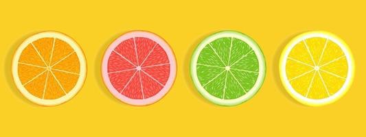 citrusvruchten plakjes sinaasappel grapefruit limoen en citroen geïsoleerd op een witte achtergrond vector
