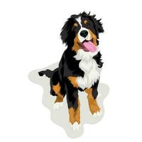 bernese berg hond tekenfilm vector