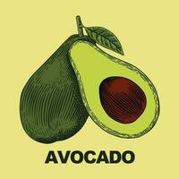 avocado vector kunst, illustratie, icoon en grafisch