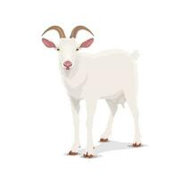 wit geit tekenfilm vector oppas vee boerderij dier