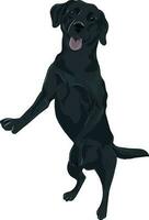 hond silhouet huisdier dier voorraad illustratie vector