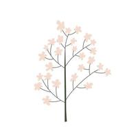 vector gestileerde lente sakura bloem