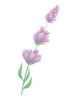 takje van lavendel of lila met Purper bloemen, bladeren en bloemblaadjes. vector geïsoleerd tekenfilm natuurlijk illustratie.