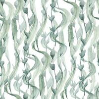 zeewier naadloos patroon met groen laminaria en algen. hand- getrokken waterverf illustratie van onderwater- planten Aan wit geïsoleerd achtergrond. ornament voor nautische omhulsel papier of textiel ontwerp vector