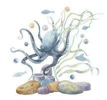 Octopus met zeebedding en zeewier. hand- getrokken waterverf onderzees illustratie Aan geïsoleerd achtergrond. kleurrijk onderwater- tekening van oceaan verdieping en zee dier met weinig vissen voor biologie ontwerp vector