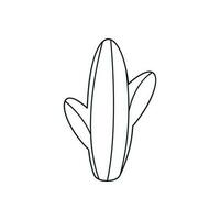 hand- getrokken lineair vector illustratie van een cactus