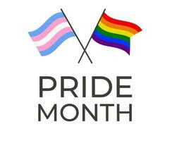 lgbt en transgender vlaggen voor seksueel minderheid trots maand. banier, uitnodiging, folder. vector. vector