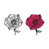 roos hand- getrokken potlood schetsen, kleur bladzijde, en boek, roos bloem schets, illustratie inkt kunst. roos vector kunst.