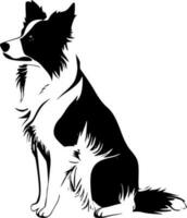 grens collie - zwart en wit geïsoleerd icoon - vector illustratie