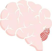 roze en wit hersenen anatomie vlak icoon. vector