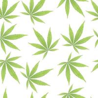 cannabis bladeren op witte achtergrond naadloze patroon groene cannabis bladeren geïsoleerd op wit vector