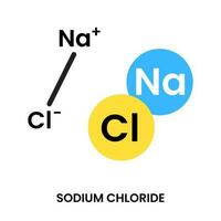 natrium chloride gemeenschappelijk zout chemisch verbinding icoon illustratie ontwerp vector