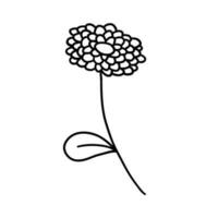 bloem in tekening schets tekenfilm hand- getrokken stijl vector