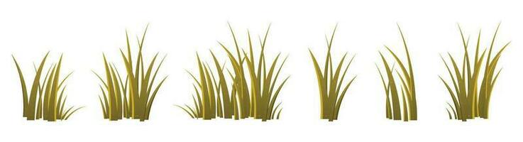 tekenfilm gras bladeren verzameling vector illustratie geïsoleerd Aan wit