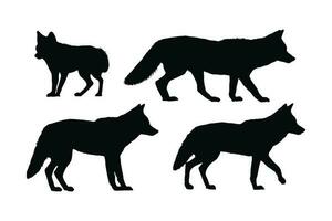 coyote wandelen silhouet bundel ontwerp. wild coyotes vector ontwerp Aan een wit achtergrond. coyote staand in verschillend standen silhouet verzameling. coyote wolf wandelen silhouet reeks vector.