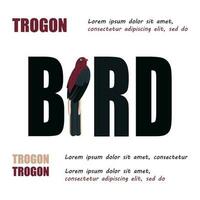 poster, banier met trogon vogel en tekst. poster lay-out ontwerp. vector