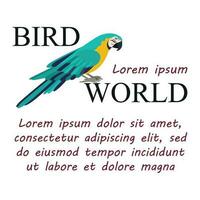 poster, banier met papegaai vogel en tekst. poster lay-out ontwerp. brieven. vector