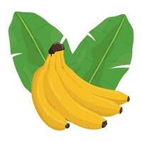 reeks van banaan geïsoleerd Aan wit achtergrond bladeren vector element. reeks van geheel, besnoeiing in voor de helft, gesneden Aan stukken