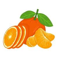 mandarijn- vers oranje fruit, bladeren vector element. reeks van geheel, besnoeiing in voor de helft, gesneden Aan stukken oranje sap