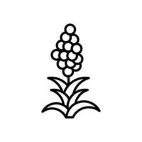 quinoa icoon in vector. illustratie vector
