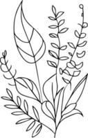 zwart en wit botanisch blad lijn kunst, blad lijn kunst, blad tekeningen, schetsen blad tekening, kunst blad ontwerpen geïsoleerd afbeelding clip art blad vector tekening