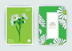 botanisch chrysant bloemen boeket vector illustratie grafisch ontwerp. wijnoogst creatief bloem kader. vector illustratie groet kaart, ontwerp, poster, afdrukken, partij, bruiloft uitnodiging, verjaardag