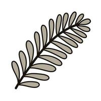 hand- getrokken palm bladeren van de top visie in tekening stijl vector