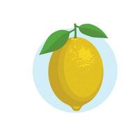 vers citroen fruit vector illustratie