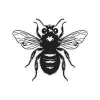 hommel, wijnoogst logo lijn kunst concept zwart en wit kleur, hand- getrokken illustratie vector
