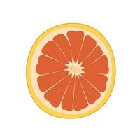 vector illustratie van een pompelmoes. lijnen kunst tropisch fruit, tekening realistisch