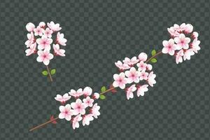 realistisch bloeiend kers bloemen en bloemblaadjes illustratie, kers bloesem vector. roze sakura bloem achtergrond. kers bloesem bloem bloeiend vector