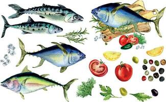 bundel van tonijn, makreel en kruiden waterverf geïsoleerd Aan wit. wild vis, kruiden, citroen, tomaten, olijven en citroen, groenten hand- getrokken. ontwerp element voor menu, kookboek, inpakken, pakket vector