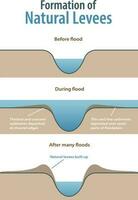 vorming van natuurlijk dijken infographic vector