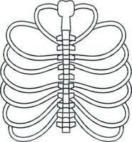 afbeelding van ribben binnen lichaam in beroerte voor beschermen hart. vector