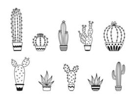 set van ingemaakte cactussen en vetplanten vector schets illustratie tekeningen op een witte achtergrond