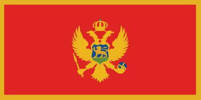 vlag van montenegro.nationaal vlag van Montenegro vector
