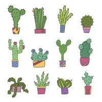 schattig reeks van ingemaakt cactussen in tekening stijl illustratie. voor de ontwerp van ansichtkaarten, uitnodigingen of stickers. geïsoleerd vector