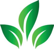 eco boom blad logo vector