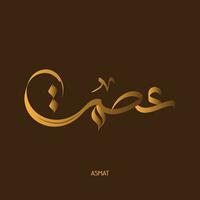 Islamitisch boek Hoes ontwerp, Islamitisch namen kalligrafie, typografie, grens, kaders vector