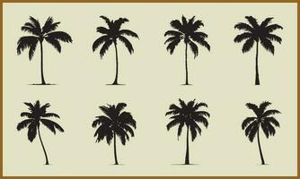 silhouetten van tropisch palm bomen verzameling vector