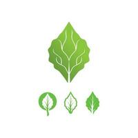 blad en natuur boom logo voor zakelijke vector groene plant ecologie ontwerp