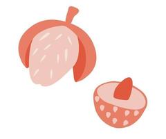 lychee fruit zomer tropisch fruit voor een gezonde levensstijl zomer eten platte vectorillustratie vector