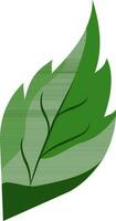 groen blad op witte achtergrond. vector