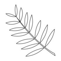 palm blad in tekening stijl5. zwart en wit vector illustratie.