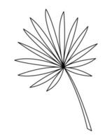 palm blad in tekening stijl2. zwart en wit vector illustratie.