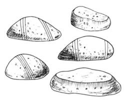 vector zee stenen set. hand- getrokken illustratie met steentjes Aan geïsoleerd wit achtergrond in schets stijl. tekening van gestreept glad oceanisch rotsen. schetsen van onderwater- mineralen geschilderd door zwart inkten.